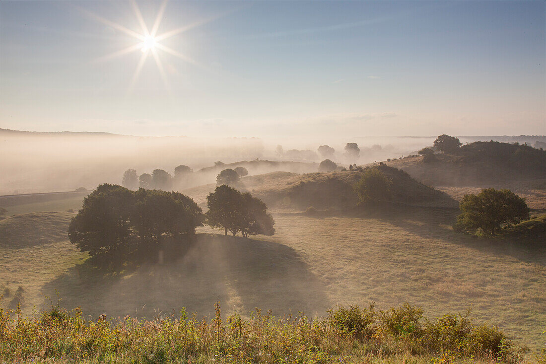  Morning mist in the hills of Broesarps backar, Skåne County, Sweden 