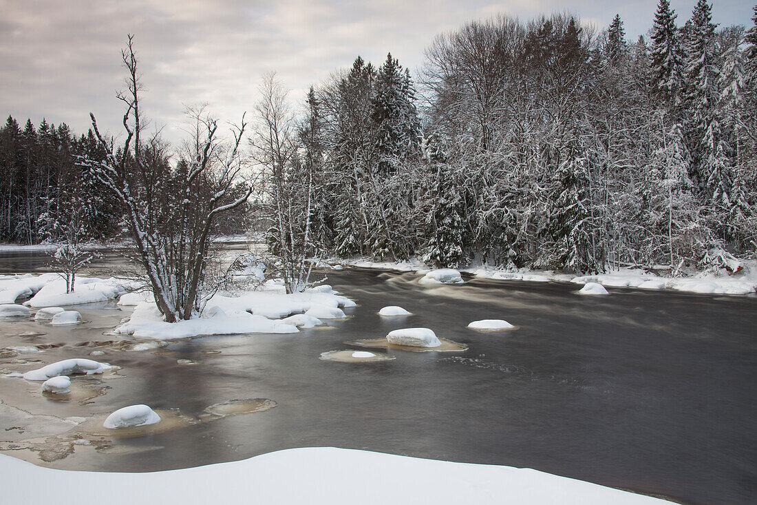 Fluss Dalälven im Winter, Gästrikland, Schweden