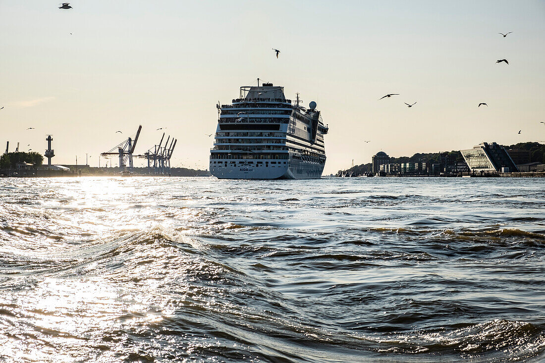  Skyline of Hamburg and ship Aida on the Elbe, Port of Hamburg, Hamburg, Northern Germany, Germany 