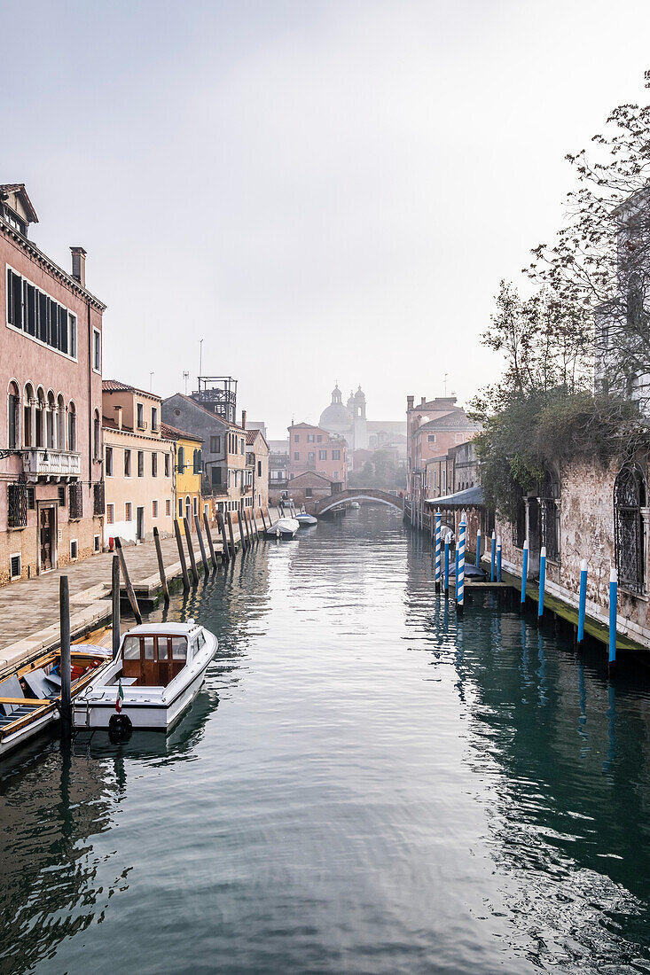  Venice, Veneto, Italy 