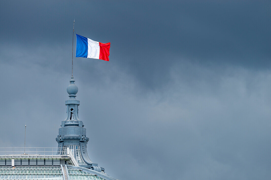  the French national flag, tricolor, on the Grand Palais, Paris, Île-de-France, France, Europe 