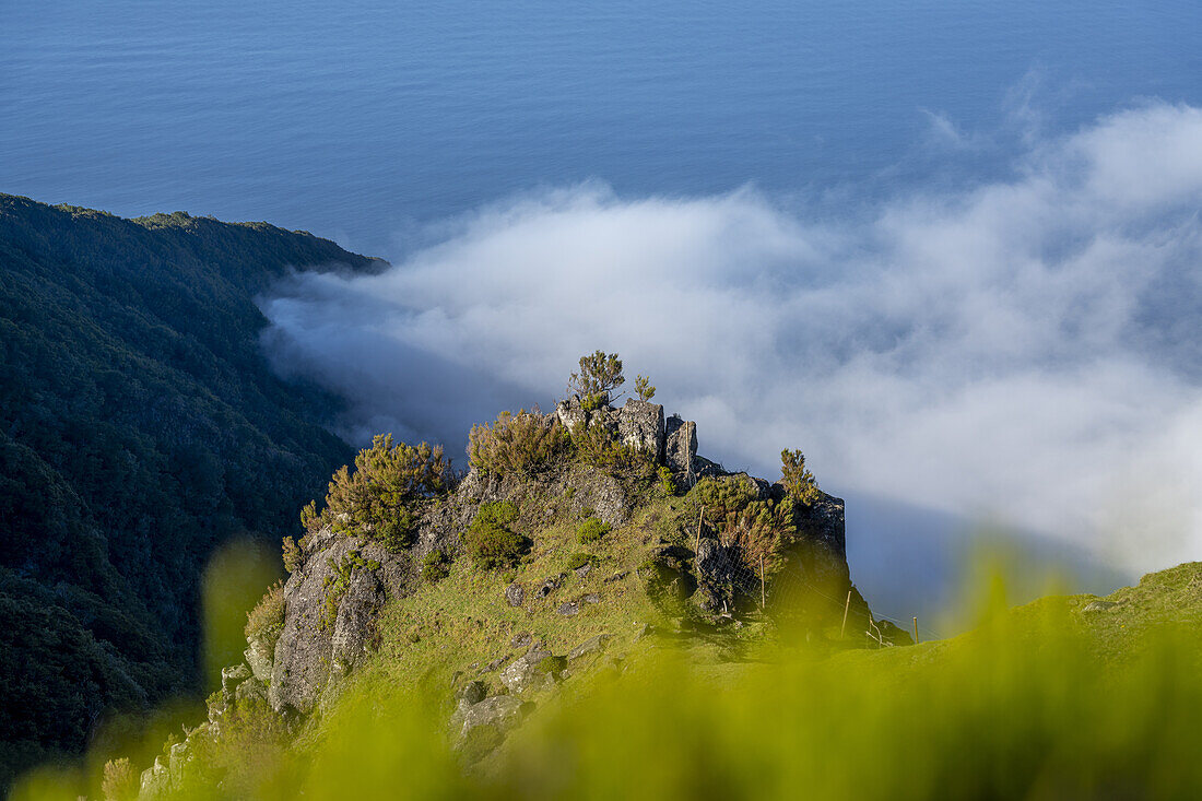  View from above the clouds to the Atlantic Ocean with the pastures of Fanal in the foreground, Madeira, Portugal. 