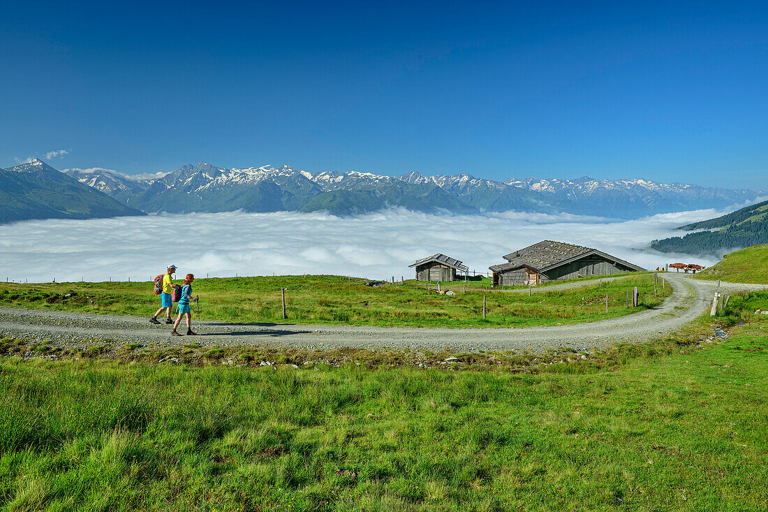  Man and woman hiking on the Pinzgauer Höhenweg with sea of fog in the Salzach Valley, Schellenbergalm, Pinzgauer Höhenweg, Kitzbühel Alps, Salzburg, Austria 