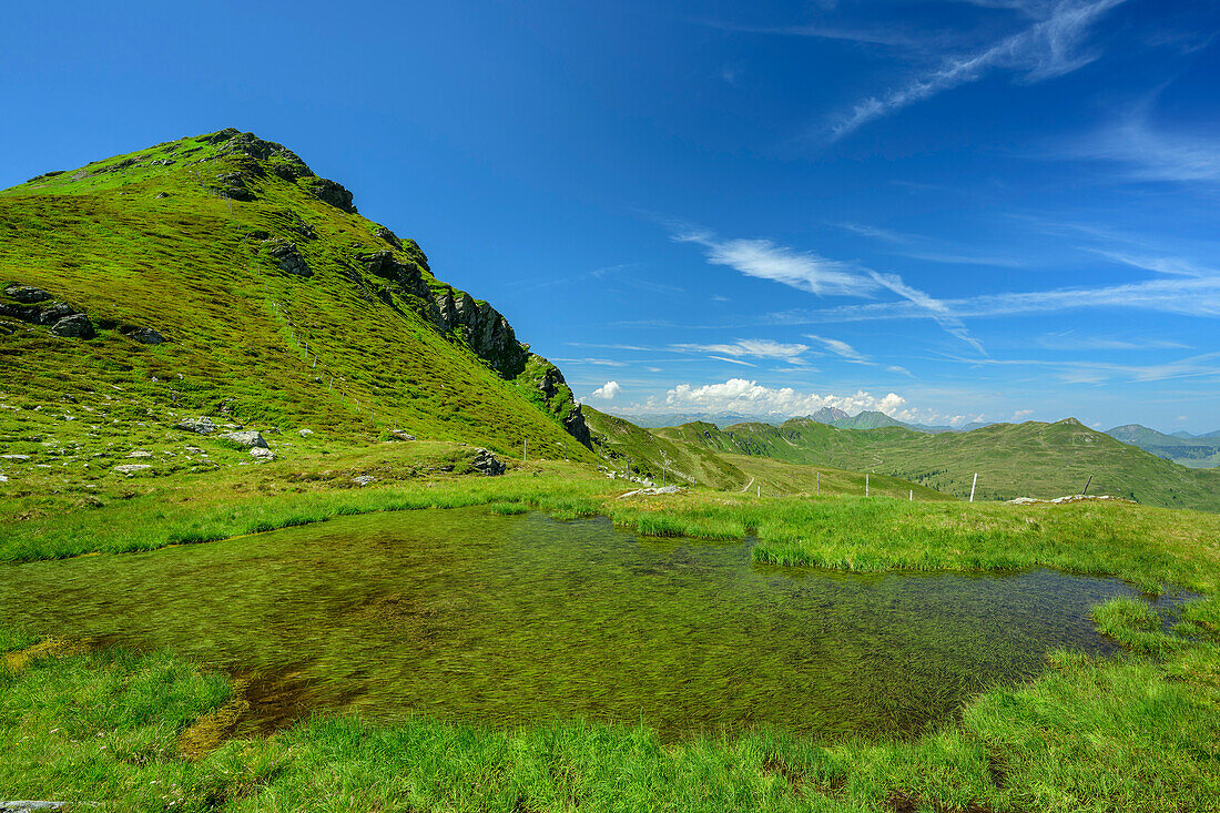 Verlandender Bergsee in der Sintersbachscharte, Pinzgauer Höhenweg, Kitzbüheler Alpen, Salzburg, Österreich