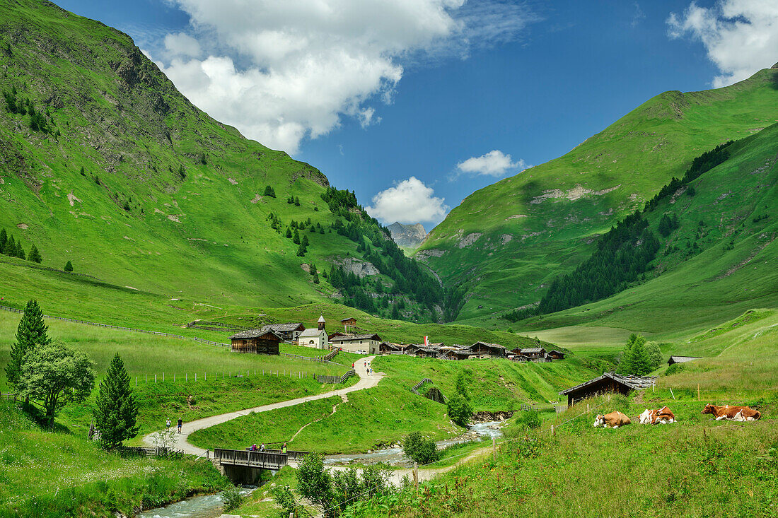 Almsiedlung Fane Alm mit Pfunderer Bergen im Hintergrund, Pfunderer Höhenweg, Zillertaler Alpen, Südtirol, Italien