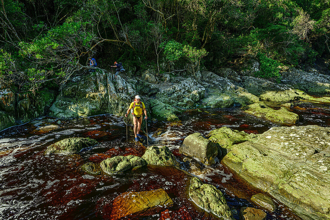 Mann beim Wandern quert Bach Kleinbos River, Otter Trail, Tsitsikamma Section, Garden Route National Park, Eastern Cape, Südafrika