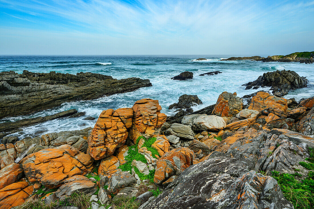  Coastal landscape on the Garden Route with rocks covered in yellow lichen, Otter Trail, Tsitsikamma Section, Garden Route National Park, Eastern Cape, South Africa 