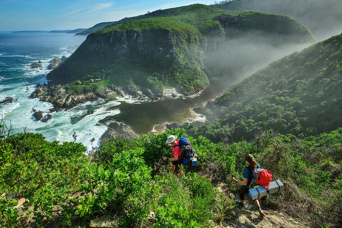  Two people descending the Otter Trail to the Lottering River, Otter Trail, Tsitsikamma Section, Garden Route National Park, Eastern Cape, South Africa 