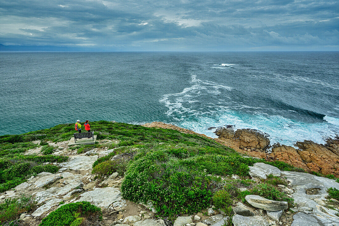  Man and woman hiking looking out to sea, Robberg Island, Robberg Nature Reserve, Garden Route National Park, Western Cape, South Africa 