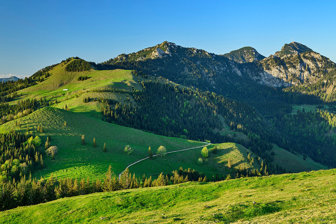  View of Mitterberg, Rampoldplatte, Hochsalwand and Wendelstein, from Farrenpoint, Bavarian Alps, Upper Bavaria, Bavaria, Germany 