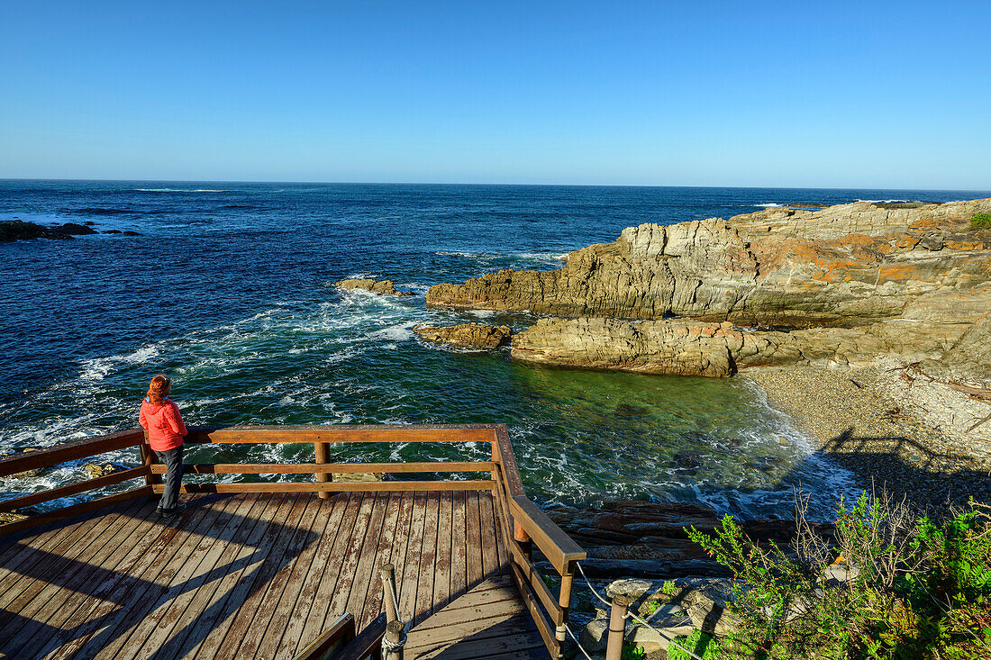  Woman hiking standing at viewing platform and looking out to sea, Storms River, Tsitsikamma Section, Garden Route National Park, Eastern Cape, South Africa 