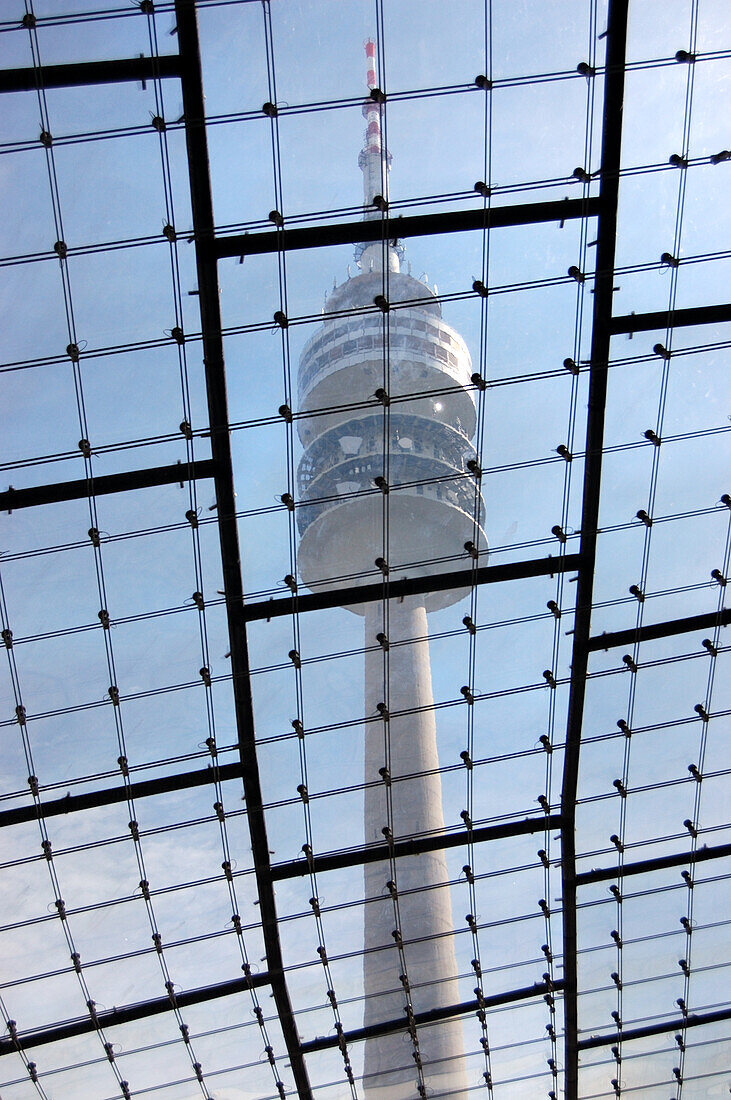 Blick durch das Glasdach (Olympiadach) zum Fernsehturm (Olympiaturm) im Olympiapark, München, Bayern, Deutschland