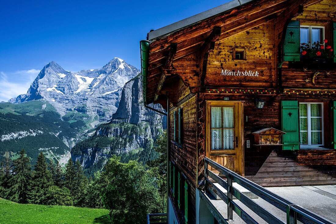 Typische Almhütte, Haus Mönchsblick, mit Blick auf die Gipfel Eiger, Mönch und Jungfrau, Mürren, bei Lauterbrunnen, Berner Oberland, Schweiz