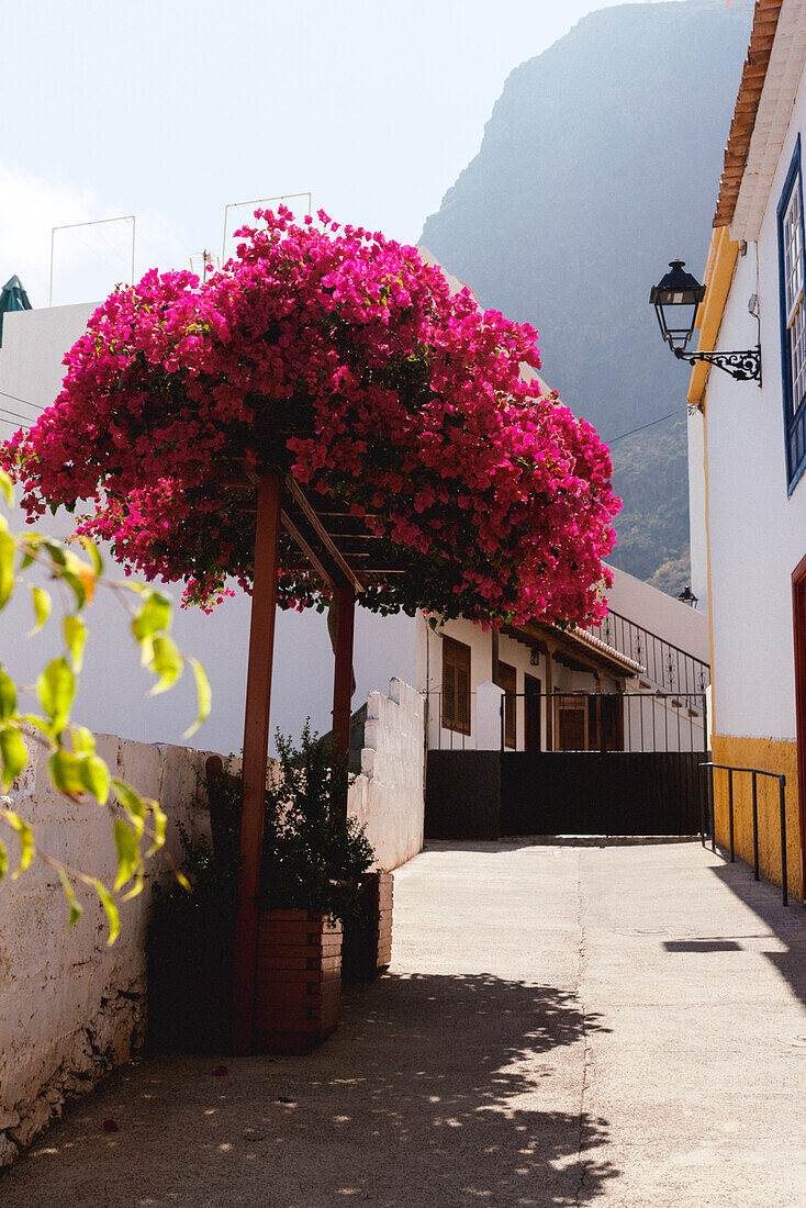  The Spanish village of Agulo in the mountains of La Gomera, taken at midday in the Canary Islands. 