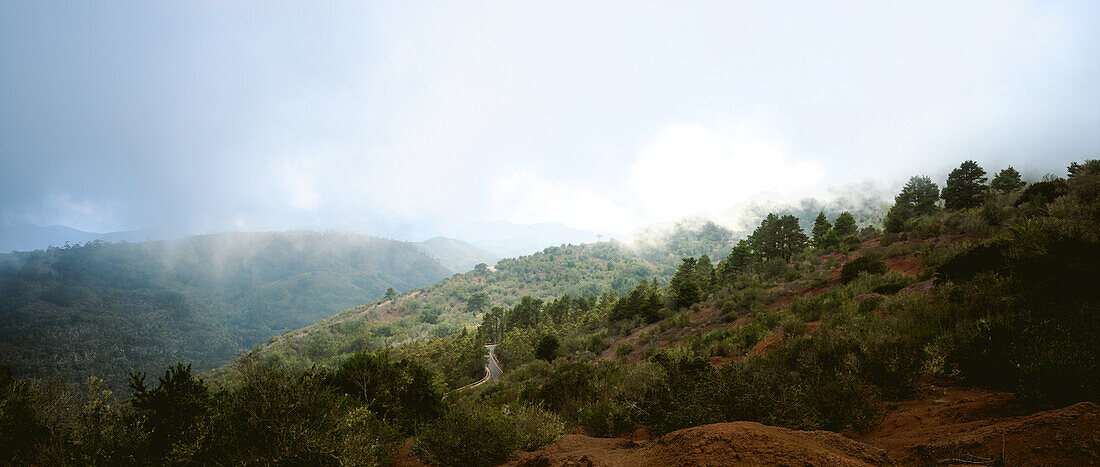 Panorama von Wald mit Straße, Naturschutzgebiet Las Rosas in den Bergen von La Gomera, Spanien