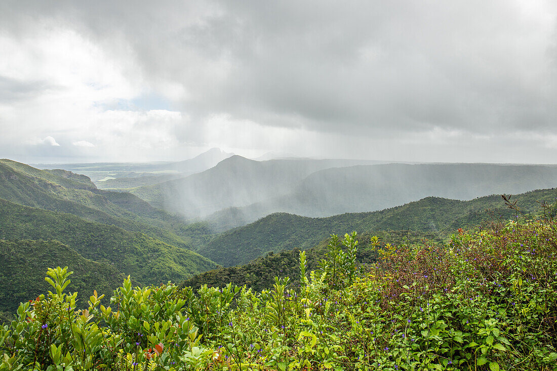 Gorges Viewpoint, Aussichtspunkt im Dschungel, im Black River Gorges Nationalpark, Distrikt Black River, Insel Mauritius, Indischer Ozean, Ost-Afrika