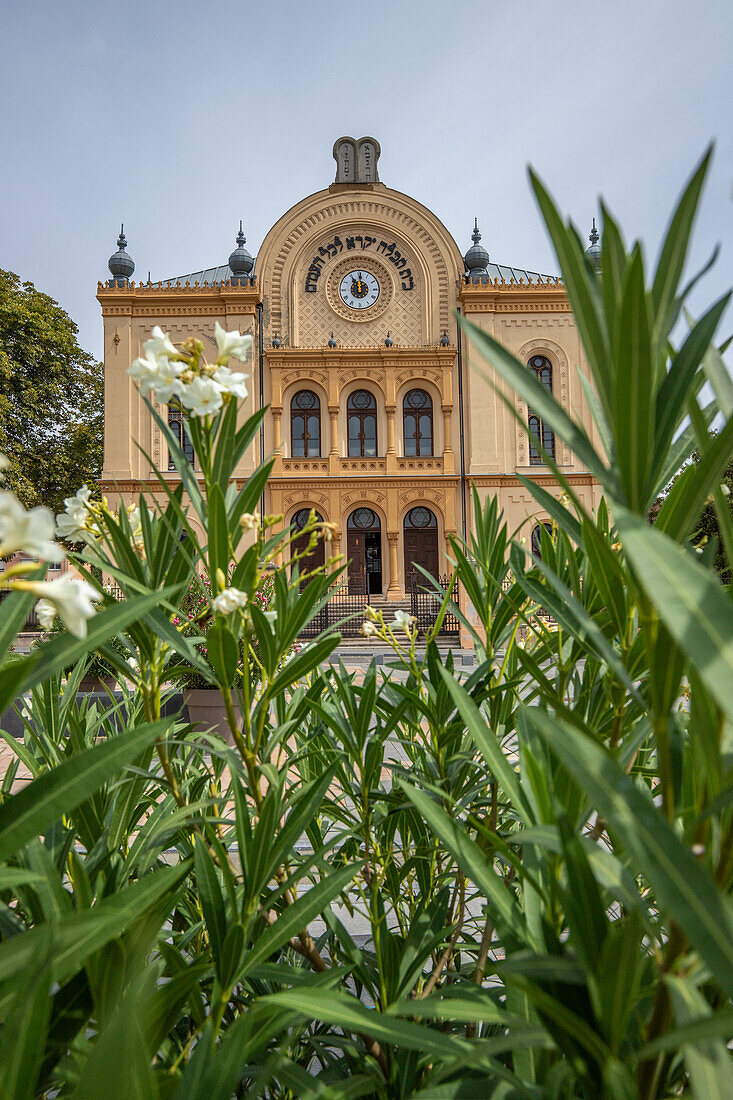 Synagoge, Altstadt, Pécs, Dél-Dunántúl, Ungarn