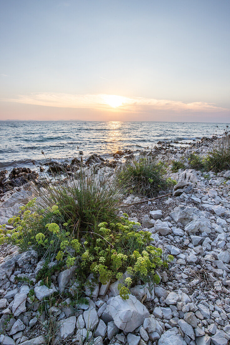 Insel Vir, Blick über die Küste in den Sonnenuntergang, Dalmatien, Kroatien, Adria, Mittelmeer