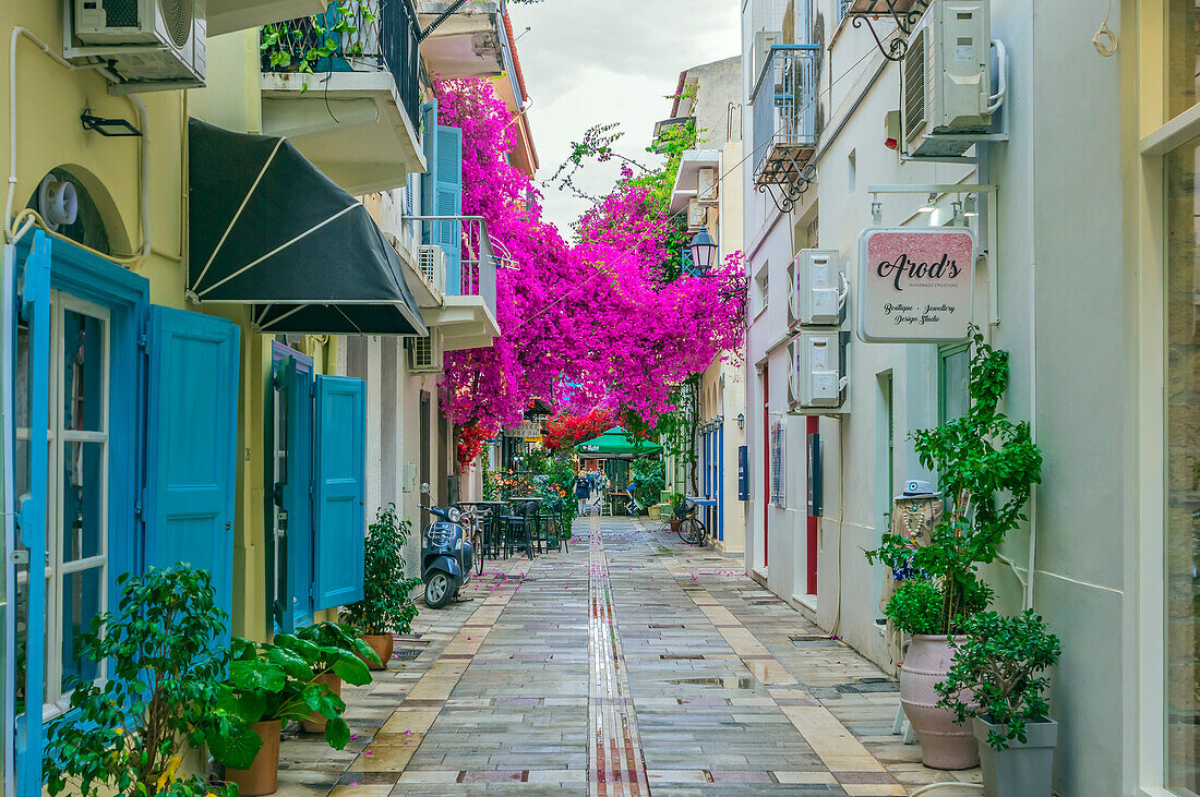 Gassen in der Altstadt mit bunten Bougainvilleas, in der Stadt Nafplio, Peloponnes, Argolischer Golf, Ägäis, Griechenland