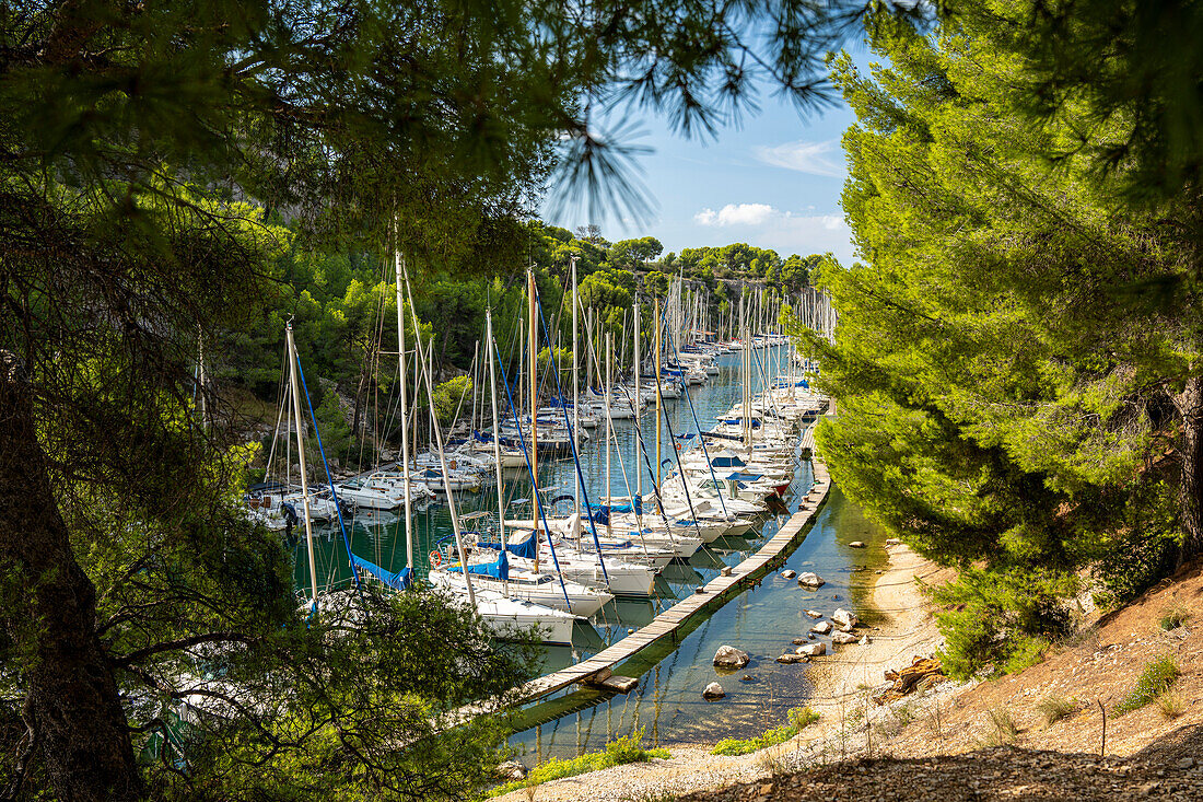  Calanque de Port Miou between Cassis and Marseille, Provence, France, Europe 