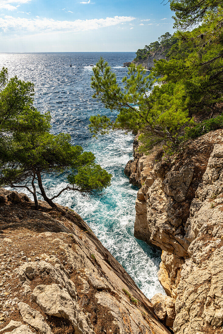 Calanque de Port Miou zwischen Cassis und Marseille, Provence, Frankreich, Europa