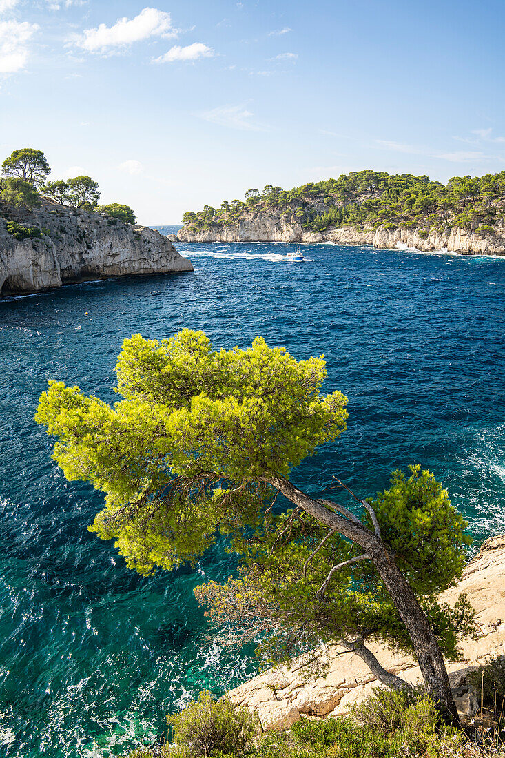  Calanque de Port Miou between Cassis and Marseille, Provence, France, Europe 