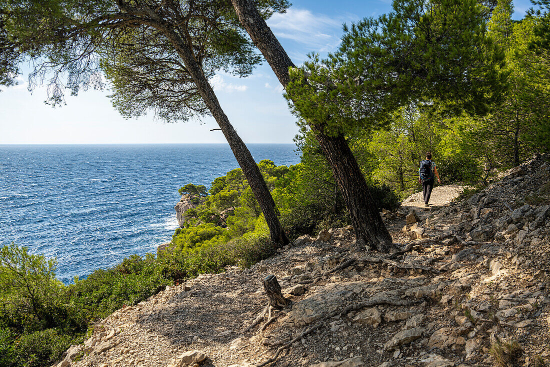  Calanques between Cassis and Marseille, Provence, France, Europe 