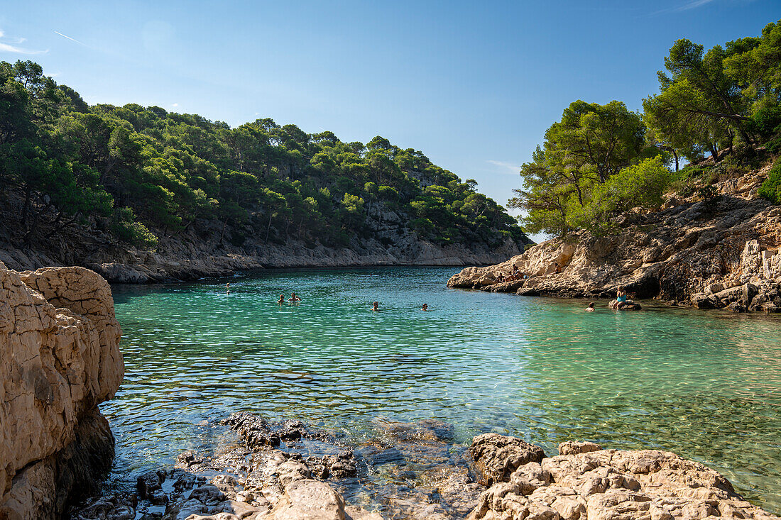 Calanque de Port Pin zwischen Cassis und Marseille, Provence, Frankreich, Europa