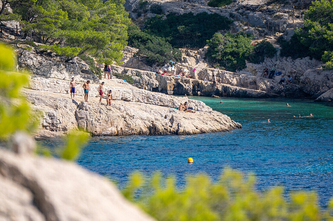 Calanque de Port Pin zwischen Cassis und Marseille, Provence, Frankreich, Europa