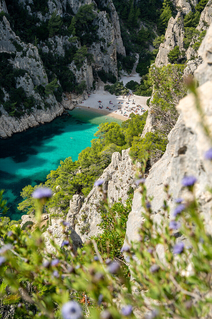  View from above of the Calanque d&#39;En-vau between Cassis and Marseille, Provence, France, Europe 