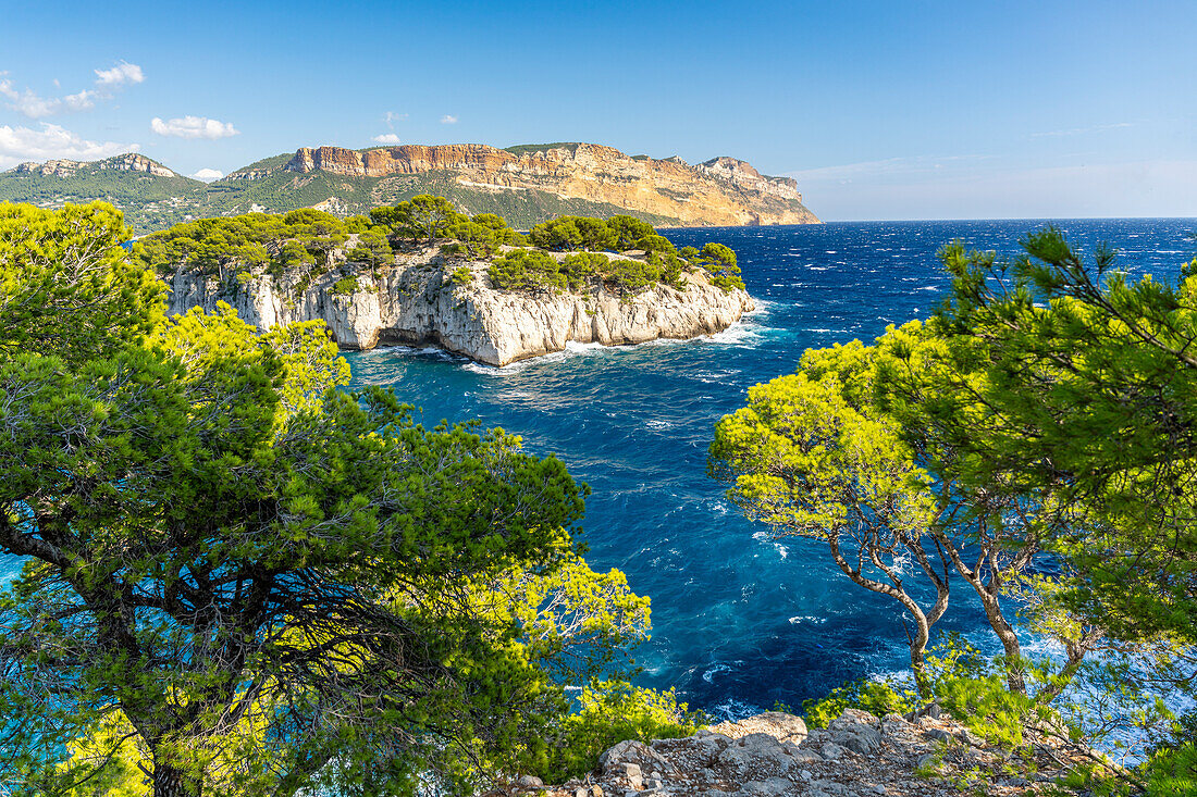  View to Cap Canaille over the Calanque de Port Miou between Cassis and Marseille, Provence, France, Europe 