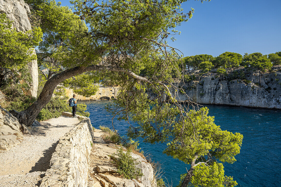  Calanque de Port Miou between Cassis and Marseille, Provence, France, Europe 