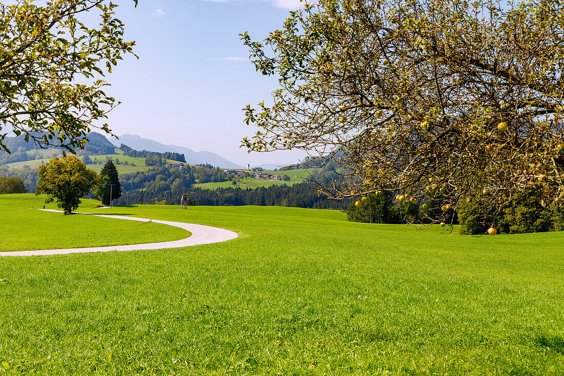  Landscape near Achental with path to Eßbaum am Samerberg in Chiemgau in Upper Bavaria in Germany 