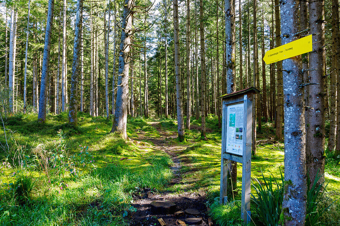  Samerberger Filze hiking trail at Brenkengraben near Törwang am Samerberg in Chiemgau in Upper Bavaria in Germany 