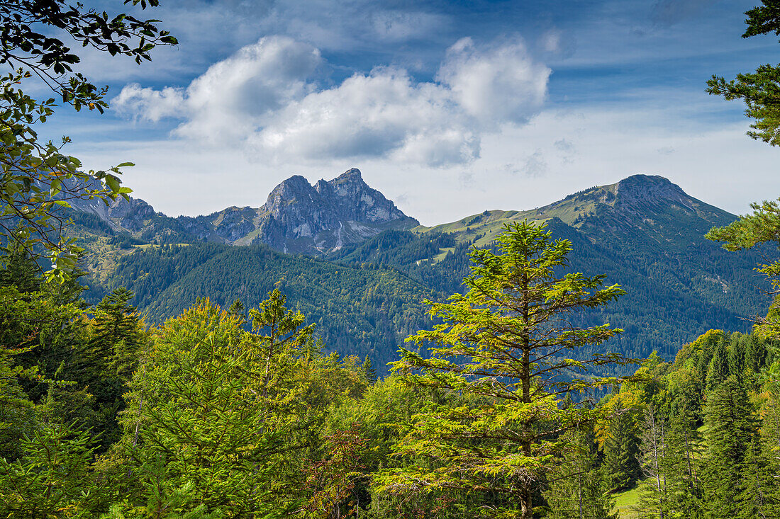  Allgäu Alps - Above the Salober Alm on the way to the Saloberkamm, Füssen, Ostallgäu, Bavaria, Germany, Europe 