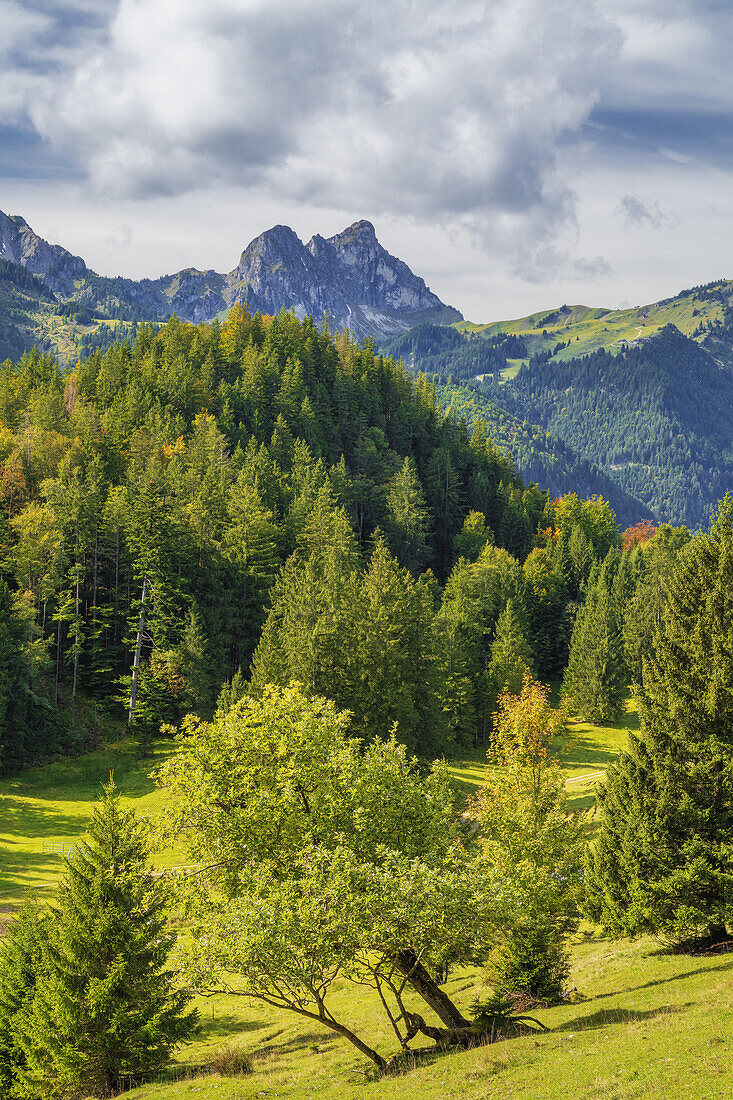  Allgäu Alps - Above the Salober Alm on the way to the Saloberkamm, Füssen, Ostallgäu, Bavaria, Germany, Europe 