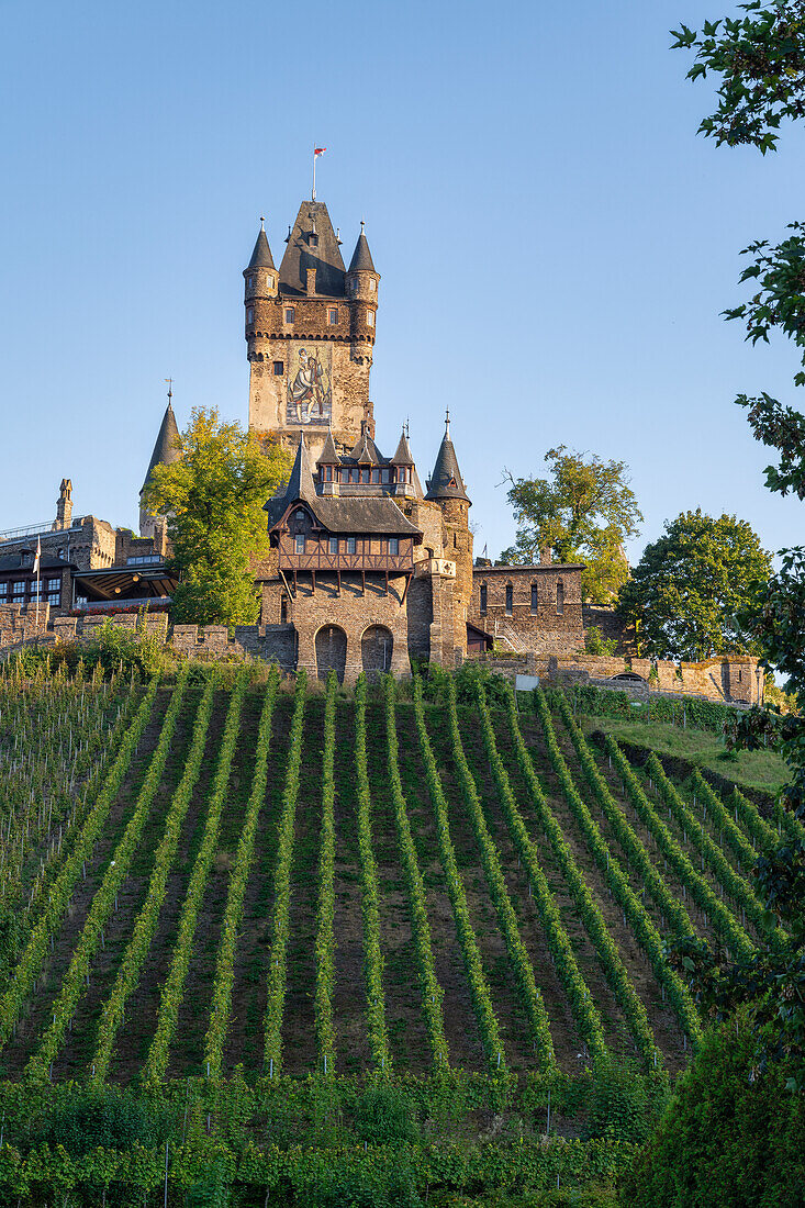 Blick auf die Reichsburg, Cochem, Mosel, Rheinland-Pfalz, Deutschland