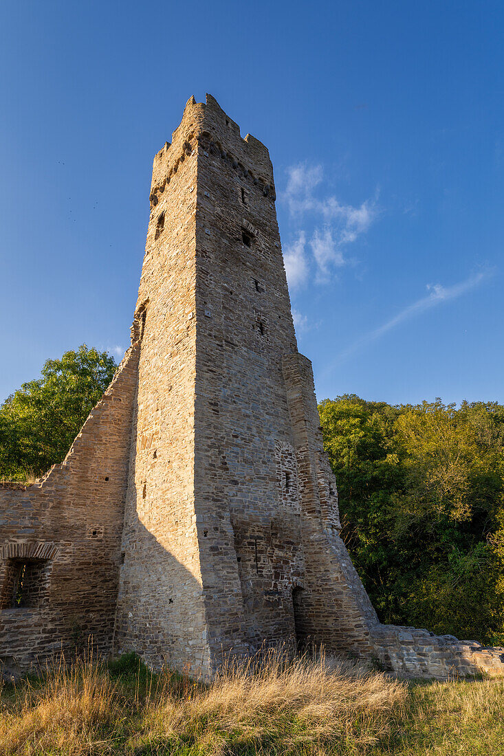  View of the Philippsburg, Monreal, Mayen-Koblenz district, Rhineland-Palatinate, Germany 