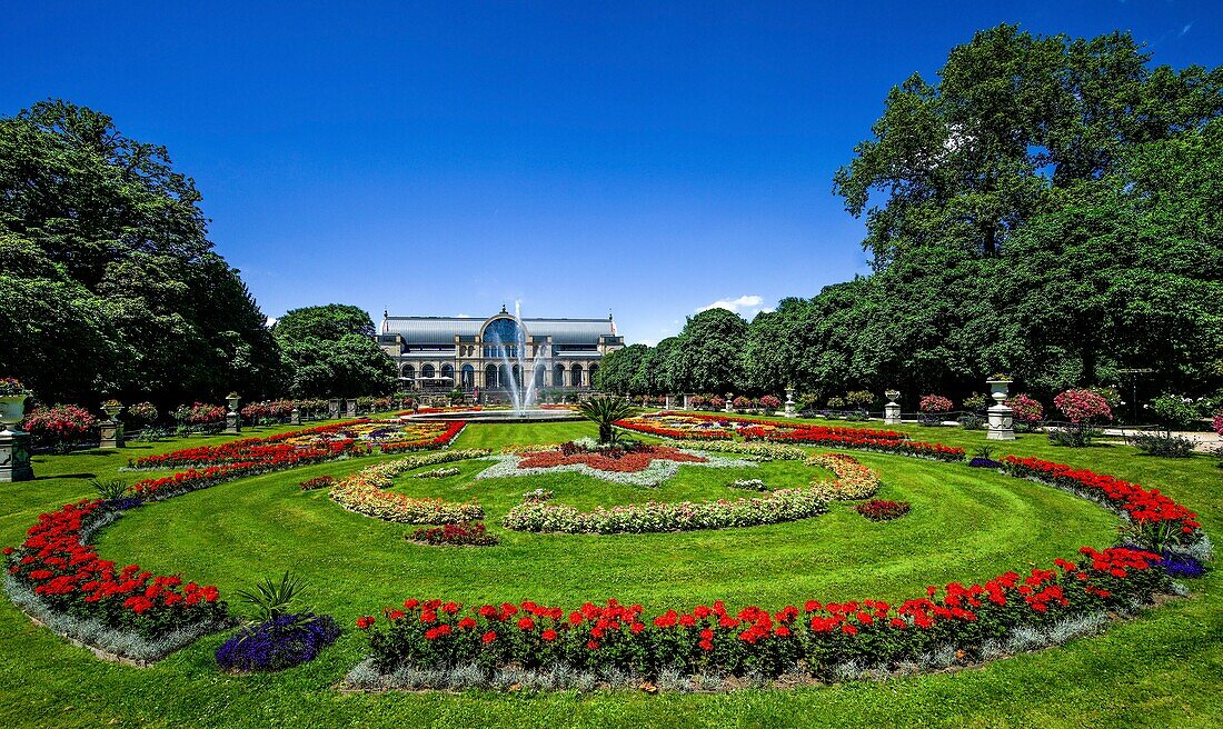  Festhaus in the Flora in Cologne with flower carpet in the foreground, Cologne, NRW, Germany 