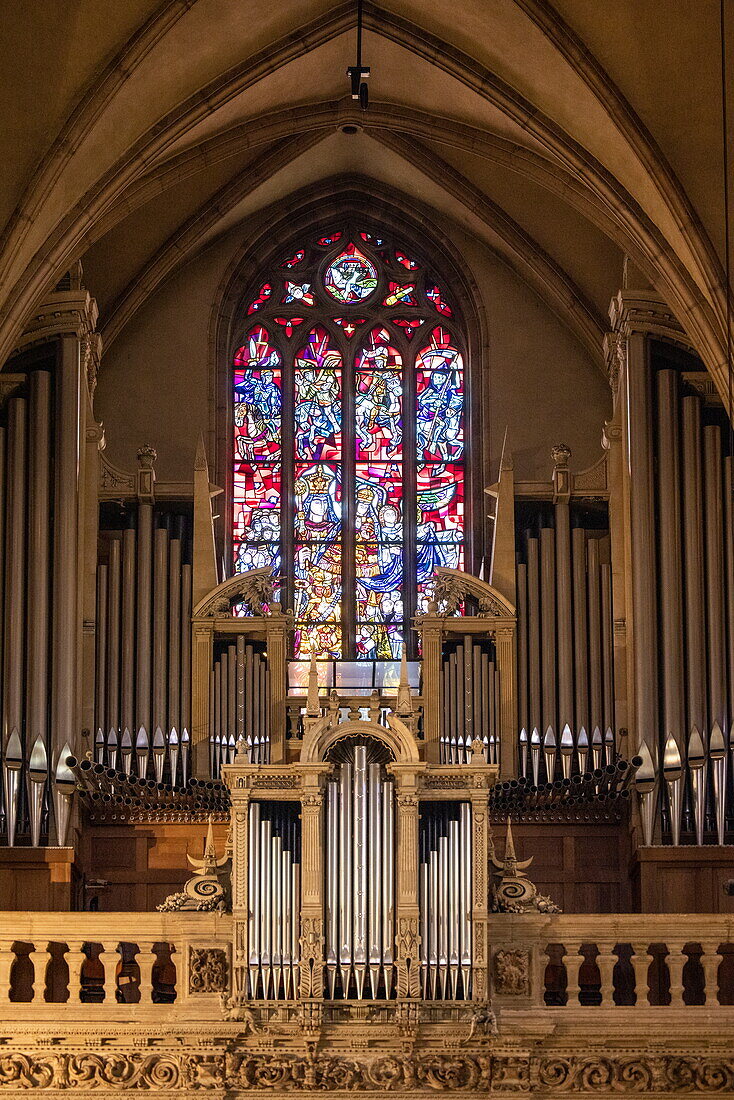  Interior view of Notre-Dame Cathedral with organ and stained glass windows, Luxembourg, Luxembourg, Europe 