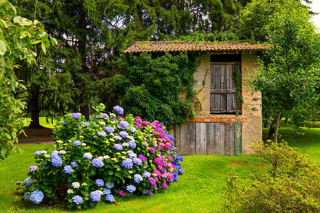 Hütte im Garten mit Blumen in Lugano, Tessin, Schweiz.