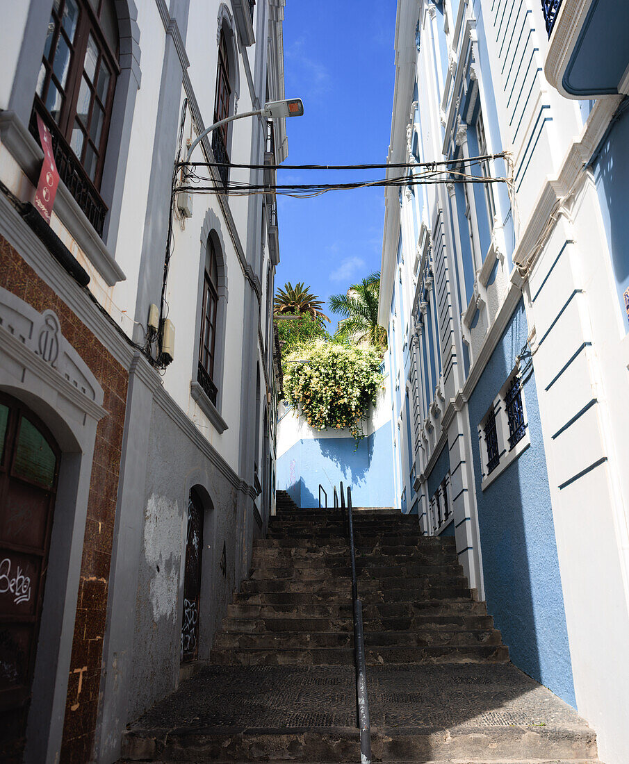  Images of the port city of Santa Cruz de La Palma on the Canary Island of La Palma, Spain. The images show the city center, views of the city and flower-decorated streets. 