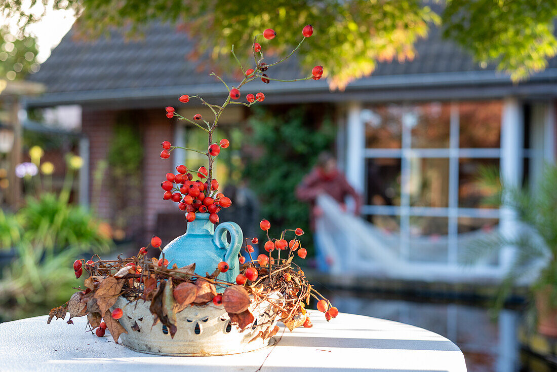  Vase with rose hips, autumn decoration, garden, Germany 