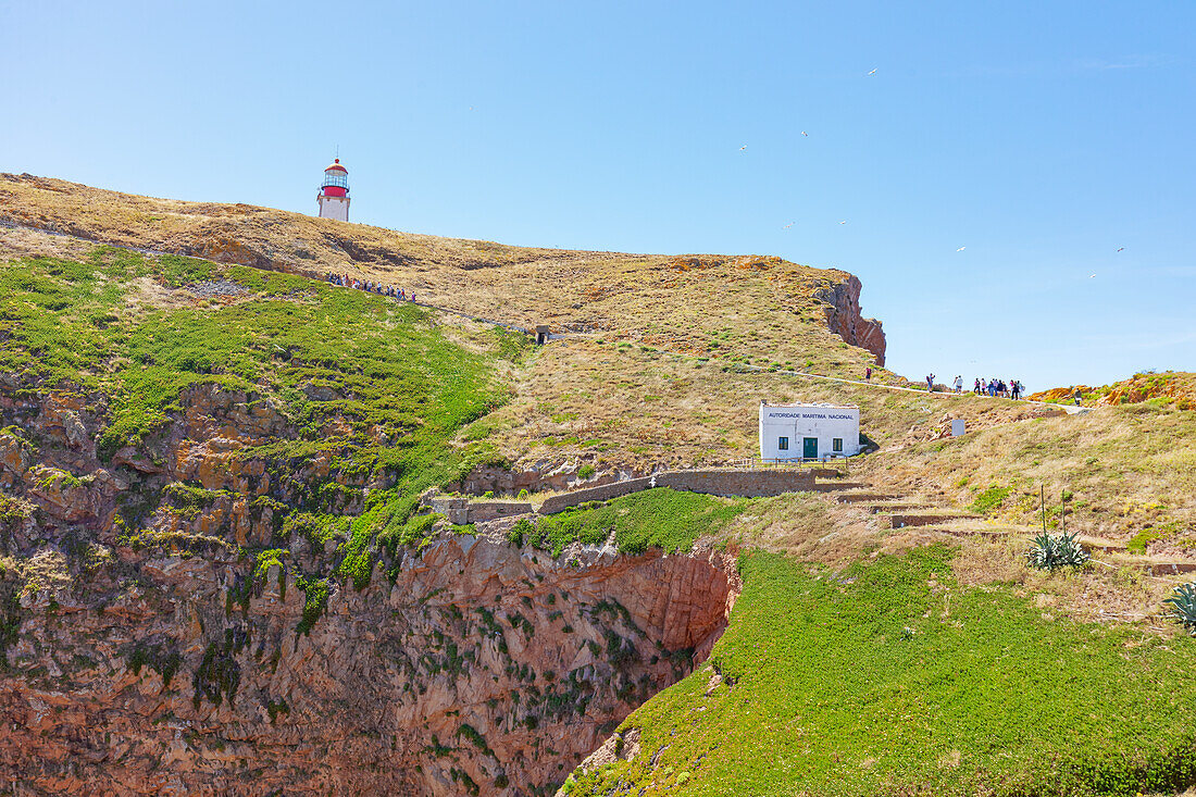  Insel Berlenga Grande, Portugal 