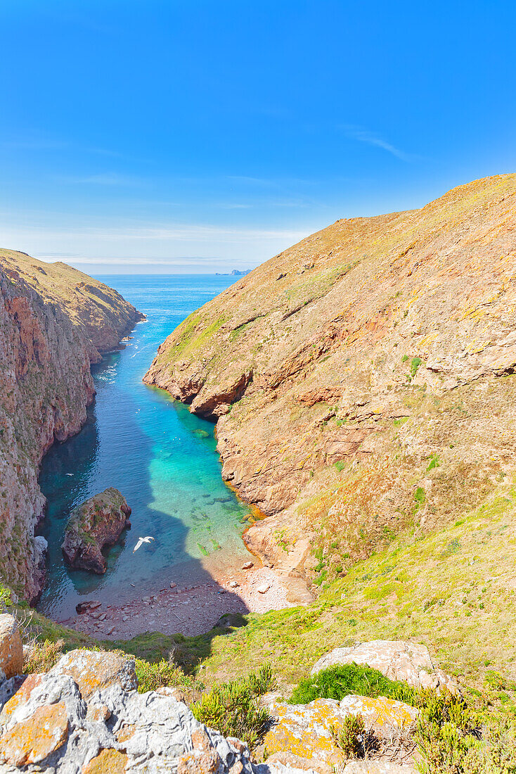 Beach, Berlenga Grande Island, Portugal