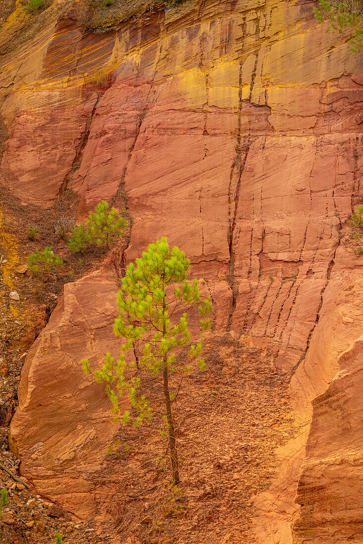 Ockerlehrpfad im ehemaligen Ockersteinbruch bei Roussillon, Département Vaucluse; Provence-Alpes-Côte d’Azur, Frankreich.