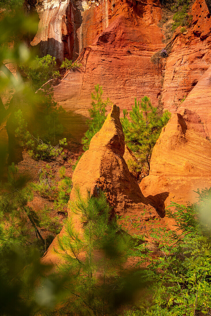 Ockerlehrpfad im ehemaligen Ockersteinbruch bei Roussillon, Département Vaucluse; Provence-Alpes-Côte d’Azur, Frankreich.