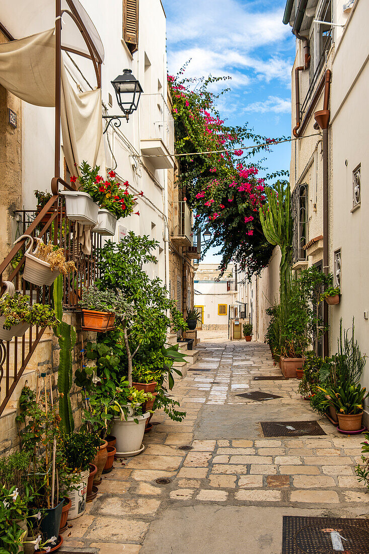 Charming narrow streets of Polignano a Mare, Puglia, Italy.