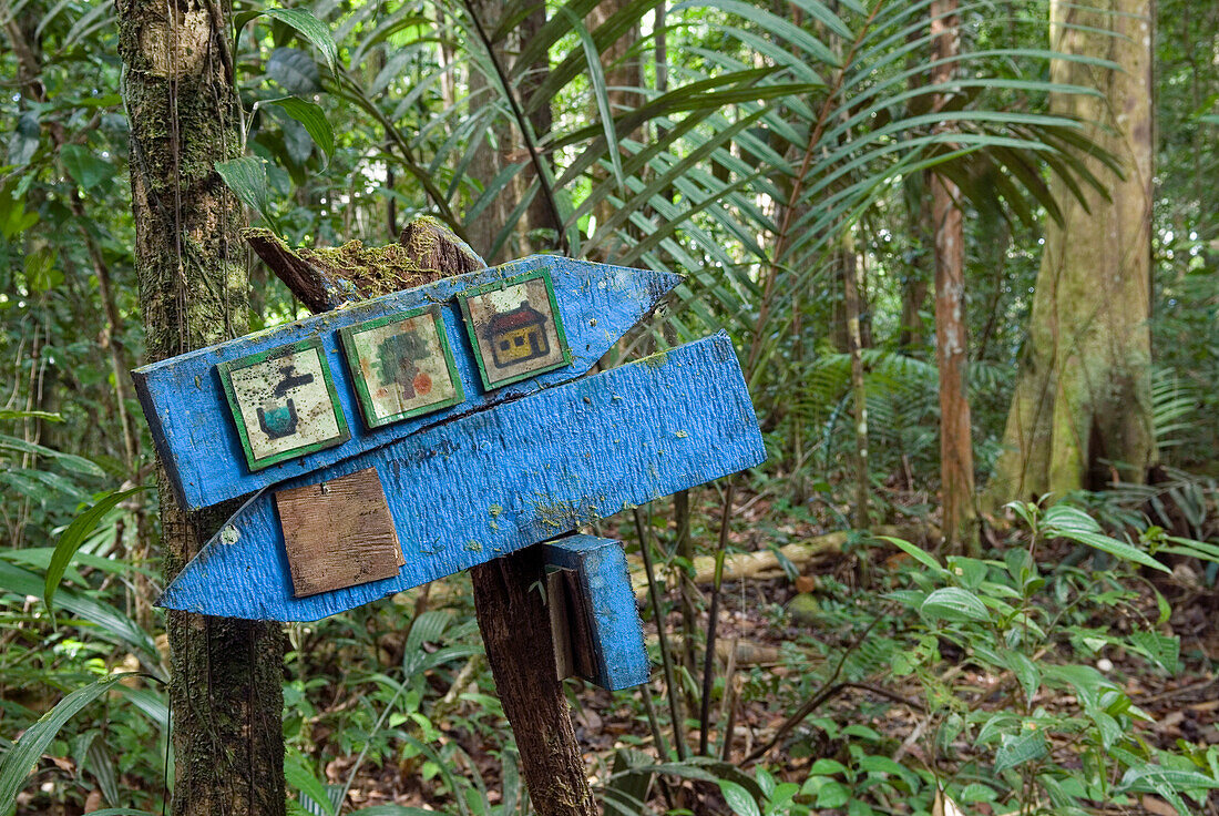 Wandern im Wald, Wegweiser, Französisch-Guayana, Überseedepartement Frankreichs