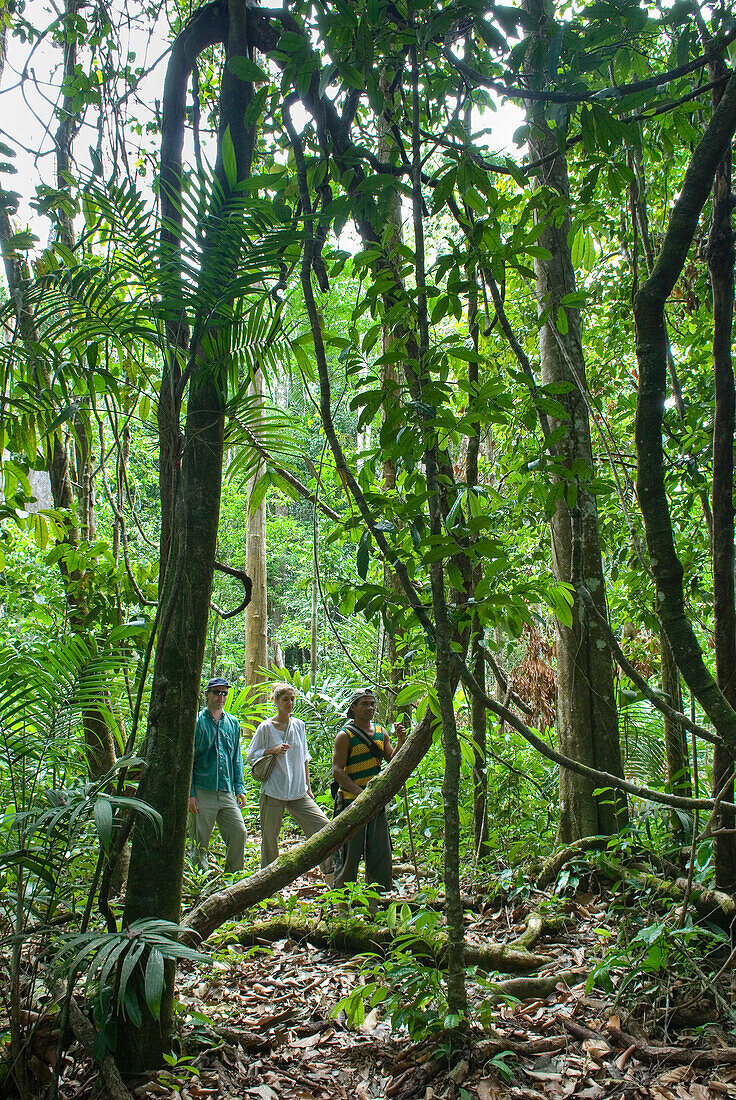 Wandern im Wald, Französisch Guayana, Überseedepartement Frankreichs